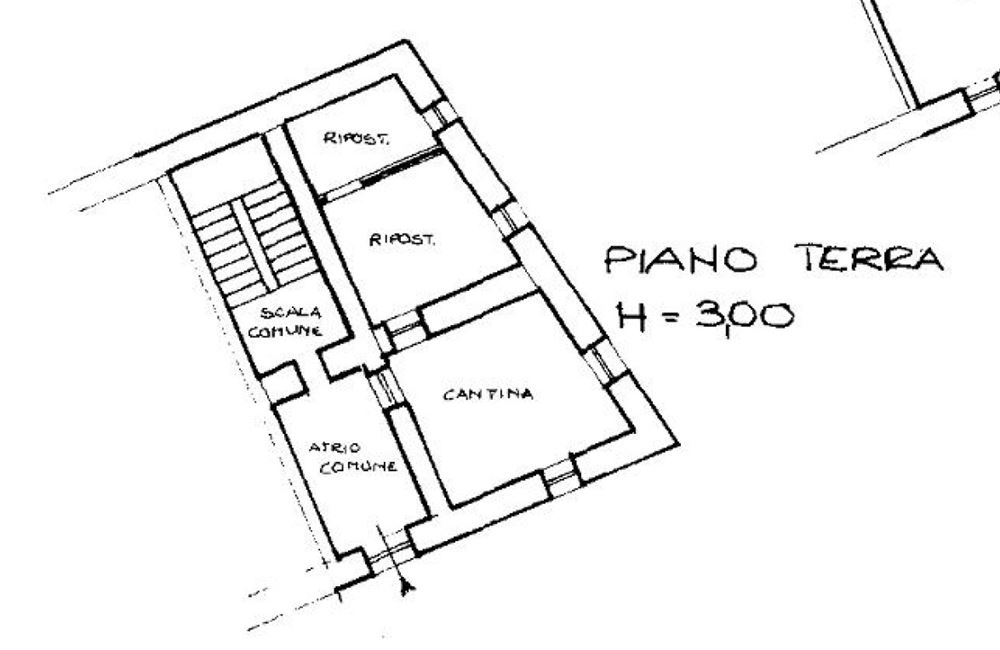 APPARTAMENTO PIANO PRIMO CON AMPI LOCALI ACCESSORI E PICCOLO CORTILE - Vendita Appartamento trilocale Ledro (fraz. Tiarno di Sopra ) Valle di Ledro