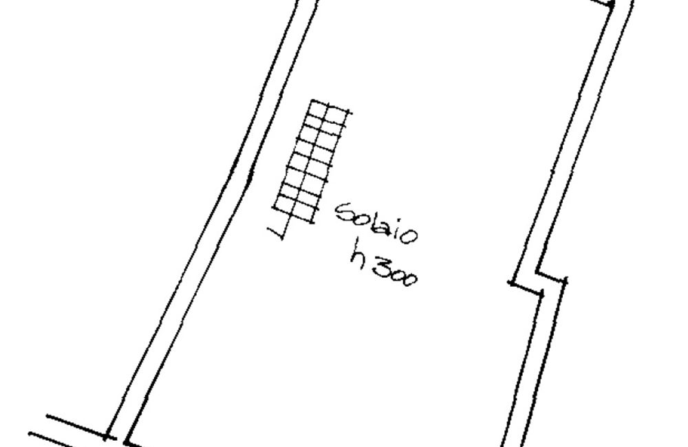 OTTIMA OPPORTUNITA' PER ACQUISTO PLURIFAMILIARE - Vendita Edificio terra-cielo Ledro (fraz. Tiarno di Sotto) Valle di Ledro