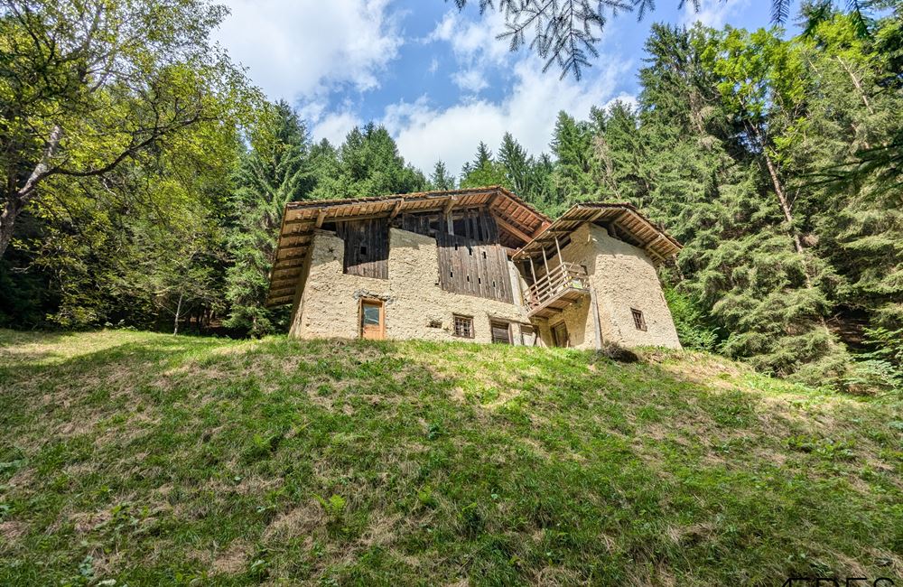 ANTICO FIENILE E TERRENI IN LOCALITA’ CROINA - Vendita Rustico Ledro (fraz. Tiarno di Sotto) Valle di Ledro