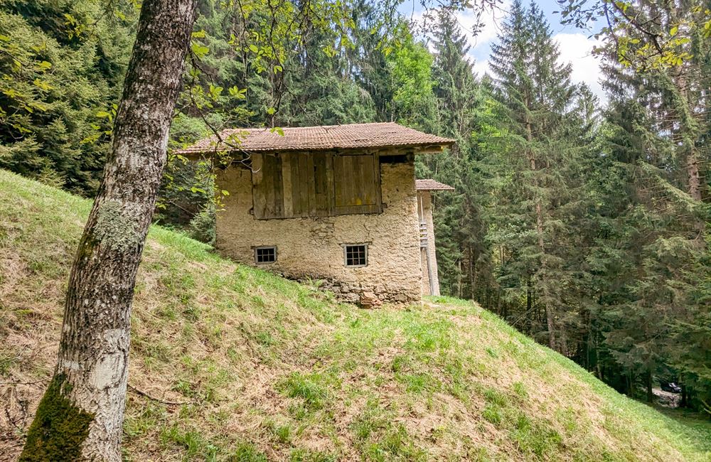 ANTICO FIENILE E TERRENI IN LOCALITA’ CROINA - Vendita Rustico Ledro (fraz. Tiarno di Sotto) Valle di Ledro