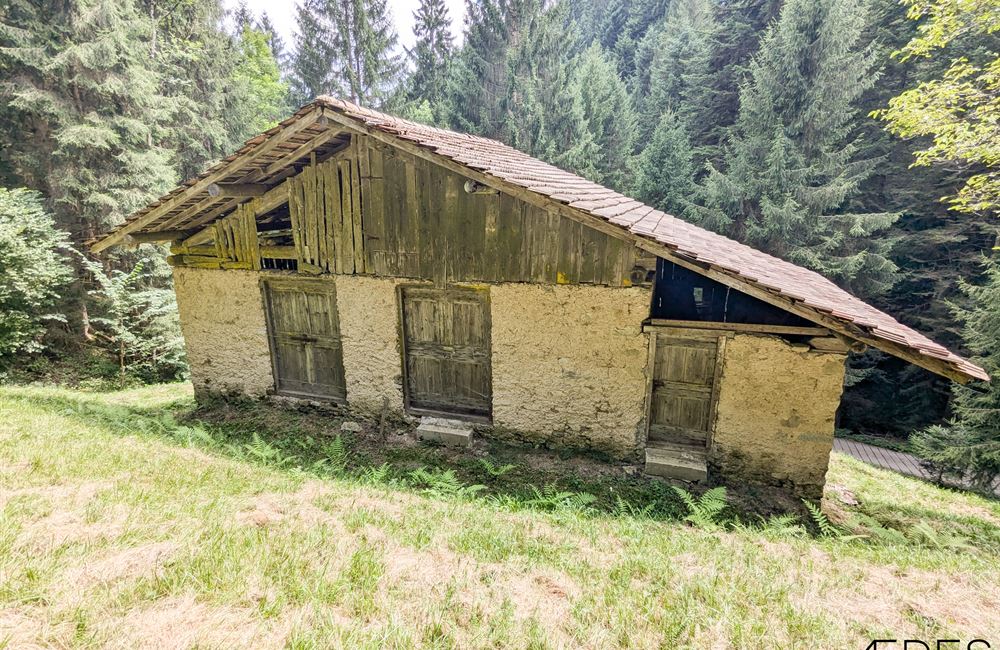 ANTICO FIENILE E TERRENI IN LOCALITA’ CROINA - Vendita Rustico Ledro (fraz. Tiarno di Sotto) Valle di Ledro