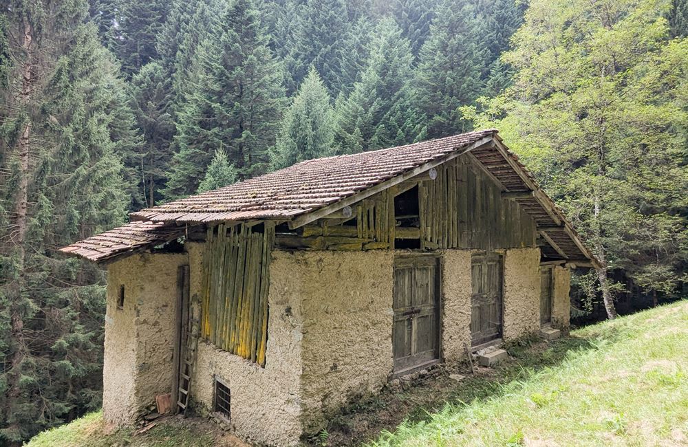 ANTICO FIENILE E TERRENI IN LOCALITA’ CROINA - Vendita Rustico Ledro (fraz. Tiarno di Sotto) Valle di Ledro