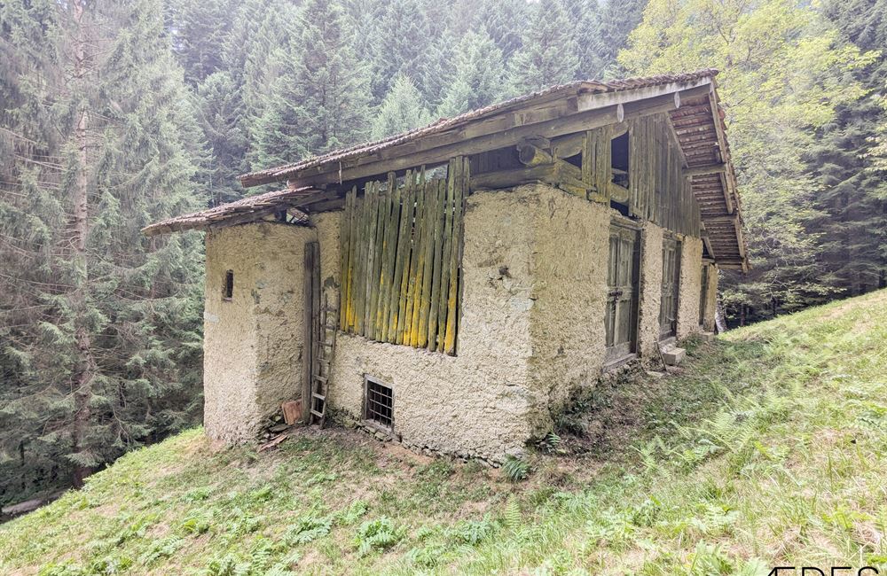 ANTICO FIENILE E TERRENI IN LOCALITA’ CROINA - Vendita Rustico Ledro (fraz. Tiarno di Sotto) Valle di Ledro