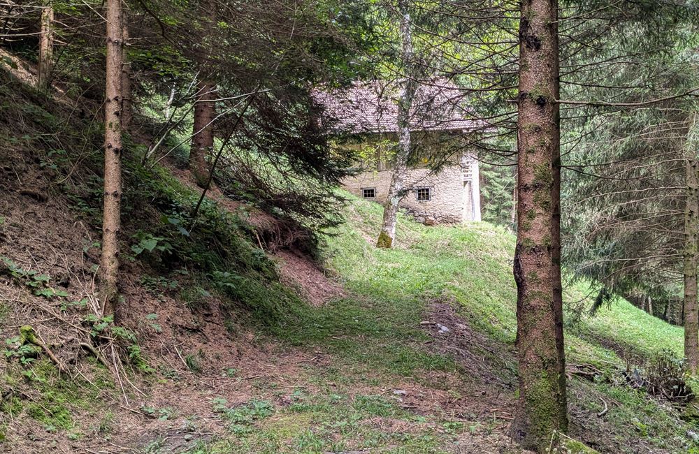 ANTICO FIENILE E TERRENI IN LOCALITA’ CROINA - Vendita Rustico Ledro (fraz. Tiarno di Sotto) Valle di Ledro
