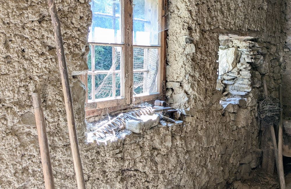 ANTICO FIENILE E TERRENI IN LOCALITA’ CROINA - Vendita Rustico Ledro (fraz. Tiarno di Sotto) Valle di Ledro