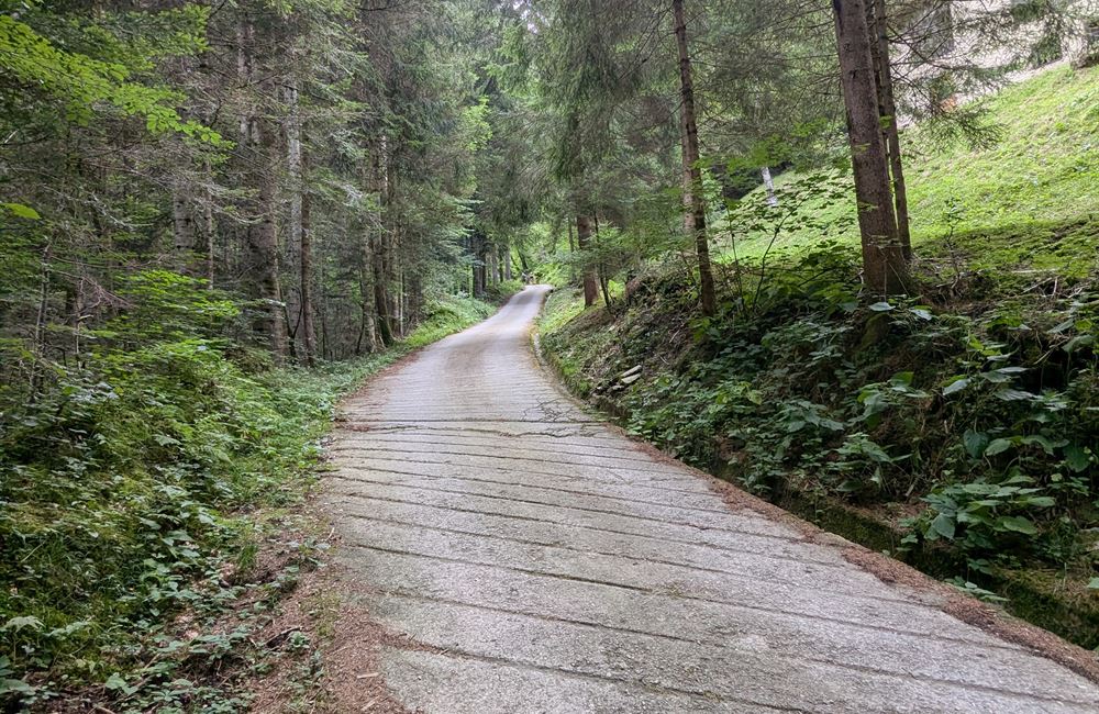 ANTICO FIENILE E TERRENI IN LOCALITA’ CROINA - Vendita Rustico Ledro (fraz. Tiarno di Sotto) Valle di Ledro