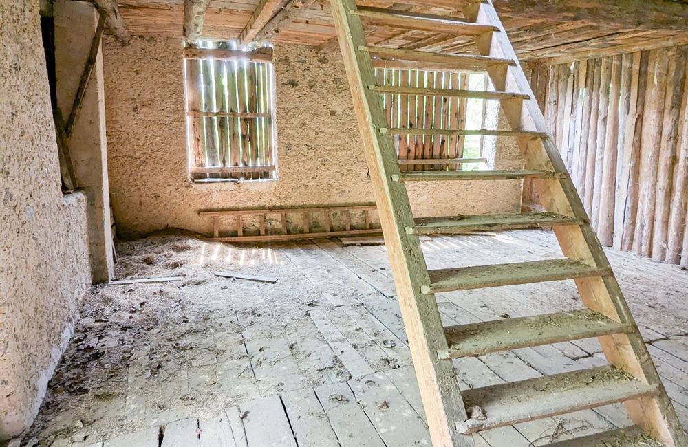PARTE DI ANTICO FIENILE E TERRENI IN POSIZIONE UNICA - Vendita Rustico Ledro (fraz. Tiarno di Sotto) Valle di Ledro