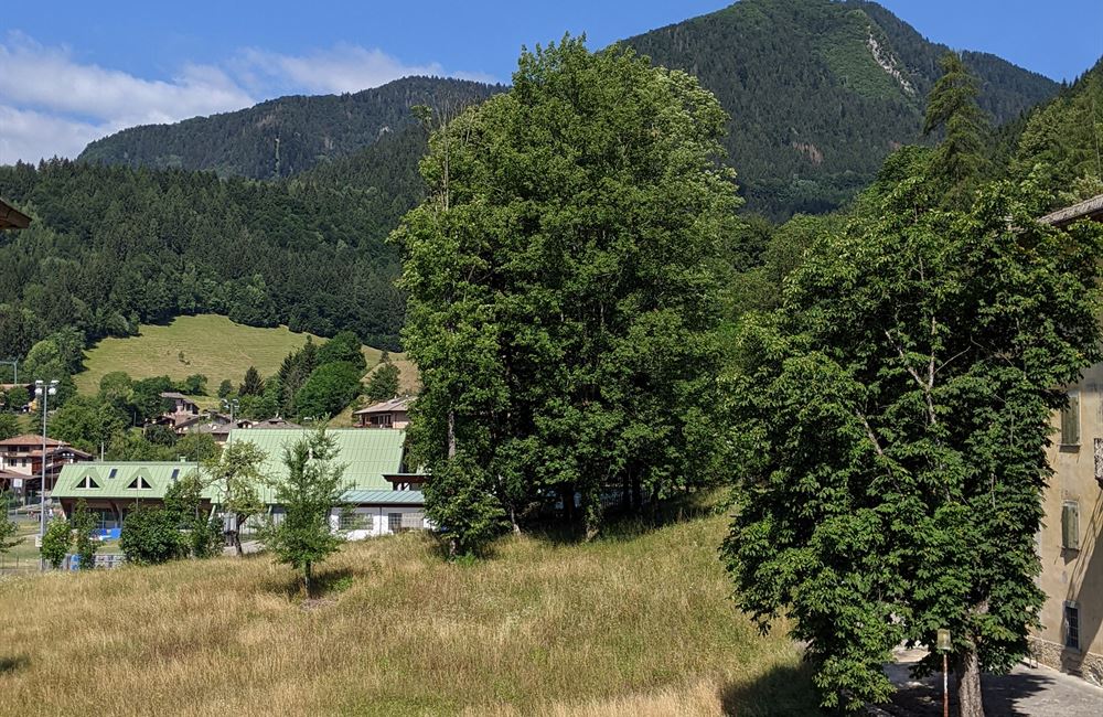 SOLUZIONE INDIPENDENTE A TIARNO DI SOTTO - Vendita Schiera di testa Ledro (fraz. Tiarno di Sotto)  Valle di Ledro