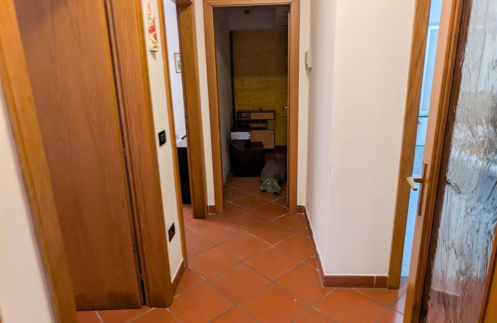 INCANTEVOLE CASA SINGOLA CON DUE APPARTAMENTI A POCHI PASSI DAL LAGO DI LEDRO - Vendita Casa Singola Ledro (fraz. Molina) Valle di Ledro