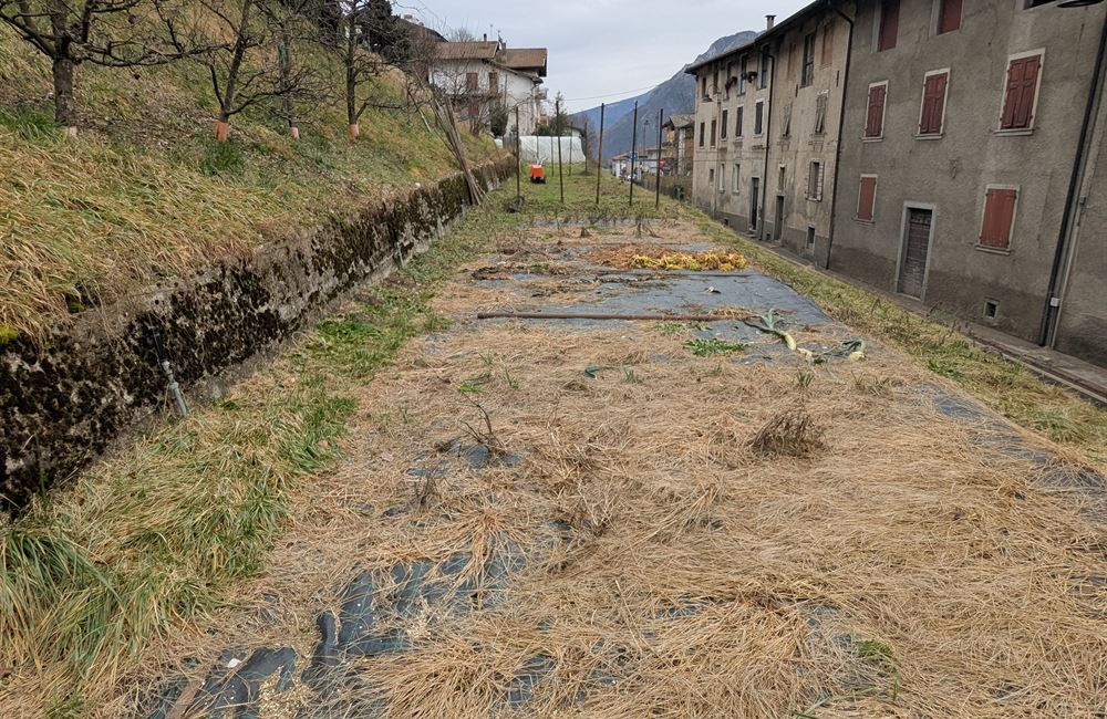 INCANTEVOLE CASA SINGOLA CON DUE APPARTAMENTI A POCHI PASSI DAL LAGO DI LEDRO - Vendita Casa Singola Ledro (fraz. Molina) Valle di Ledro