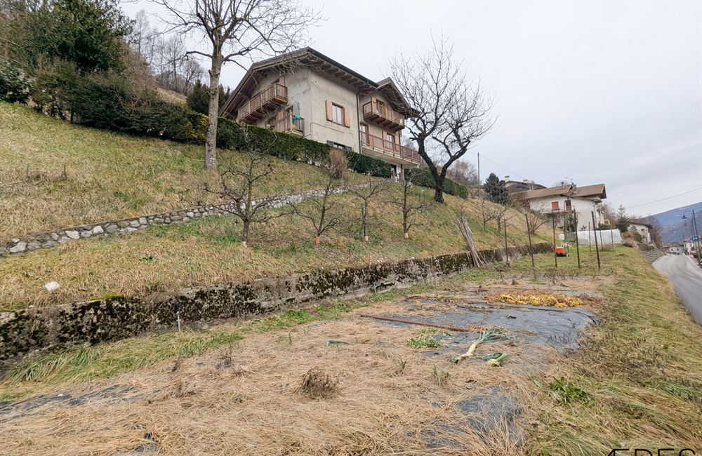 INCANTEVOLE CASA SINGOLA CON DUE APPARTAMENTI A POCHI PASSI DAL LAGO DI LEDRO - Vendita Casa Singola Ledro (fraz. Molina) Valle di Ledro
