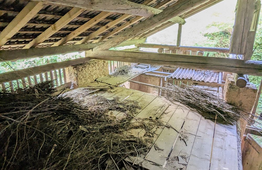 ANTICO FIENILE CON AMPIO TERRENO – POSIZIONE PANORAMICA UNICA - Vendita Fienile Ledro (fraz. Tiarno di Sotto) Valle di Ledro