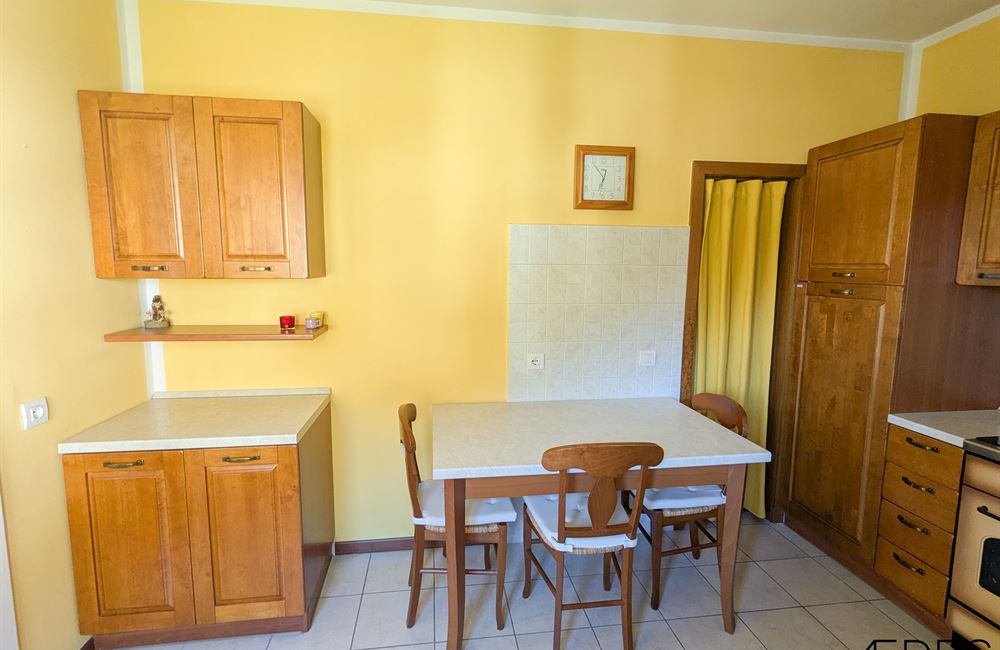 AMPIO APPARTAMENTO RISTRUTTURATO CON TRE CAMERE E TERRAZZO - Vendita Appartamento quadrilocale Ledro (fraz. Molina) Valle di Ledro