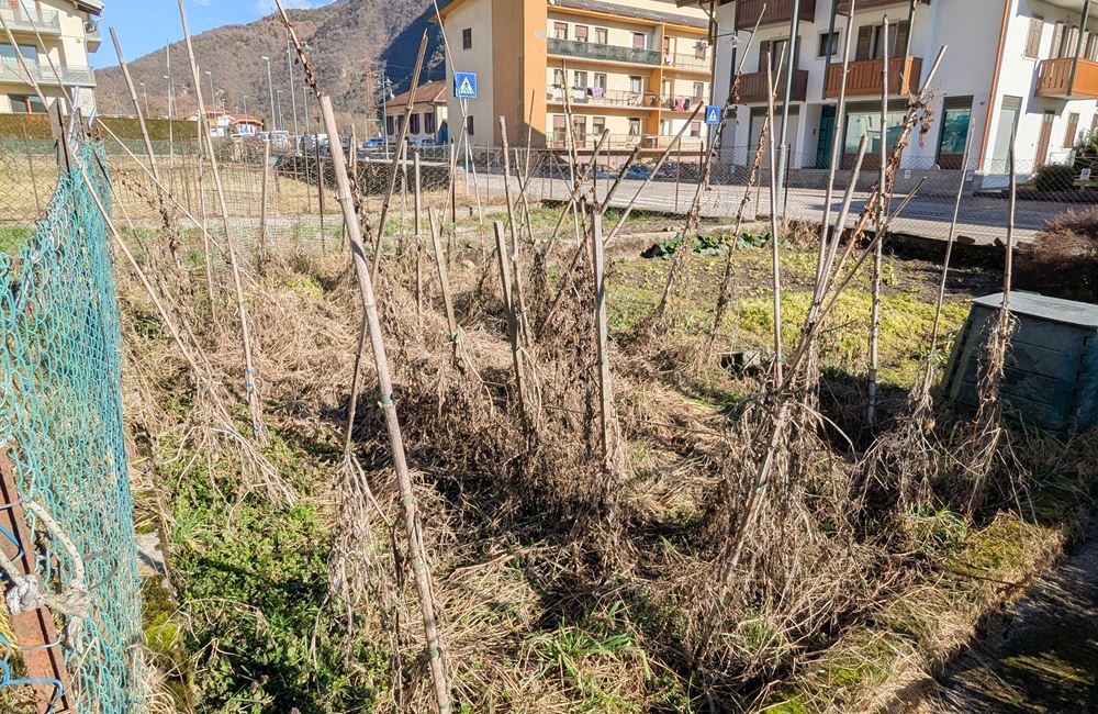 AMPIO QUADRILOCALE CON NUMEROSE PERTINENZE ESCLUSIVE - Vendita Appartamento quadrilocale Borgo Chiese (fraz. Condino) Altro