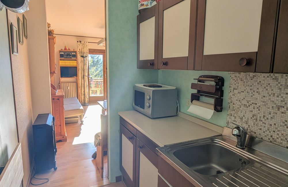 MONOLOCALE CON BALCONE E CANTINA - Vendita Appartamento monolocale Loc. Tremalzo  Valle di Ledro