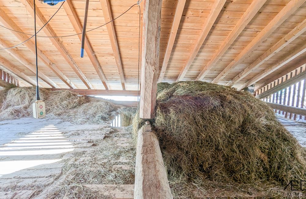 ANTICO FIENILE DA RISTRUTTURARE A LOCCA - Vendita Fienile Ledro (fraz. Locca) Valle di Ledro