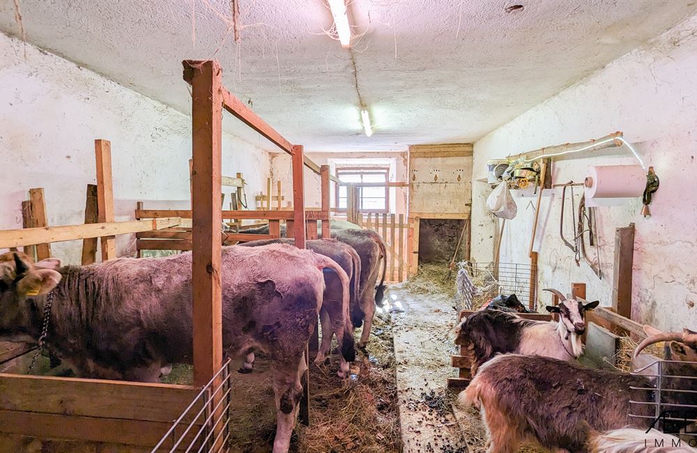 ANTICO FIENILE DA RISTRUTTURARE A LOCCA - Vendita Fienile Ledro (fraz. Locca) Valle di Ledro