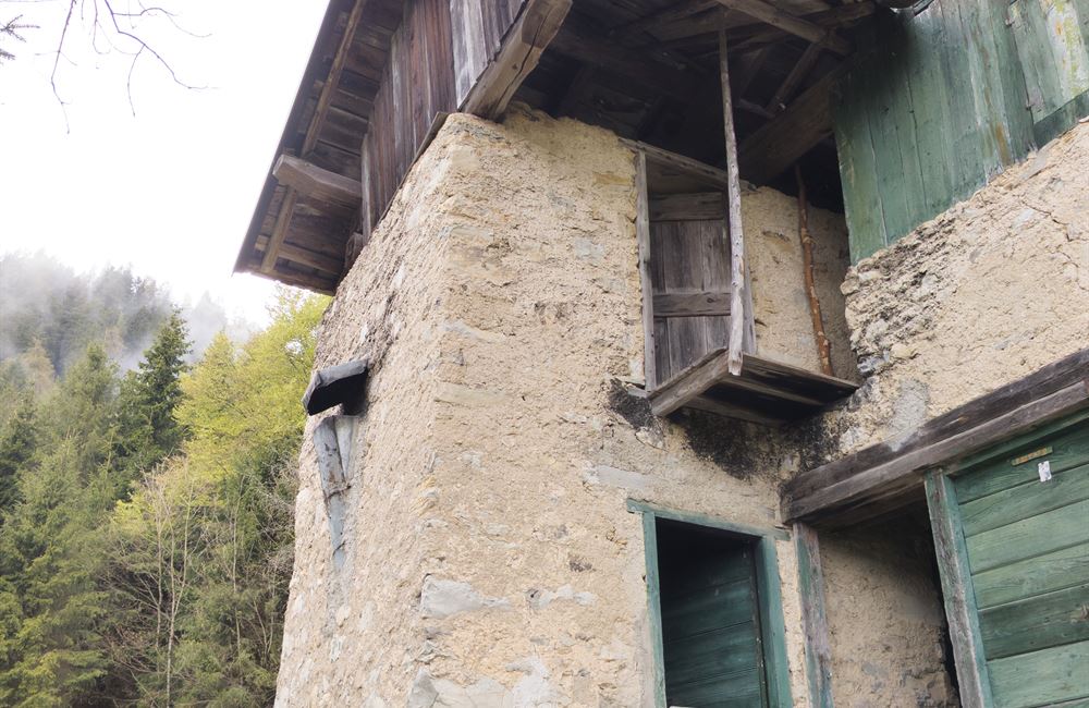 PARTE DI FIENILE E TERRENI IN LOCALITA’ VIES