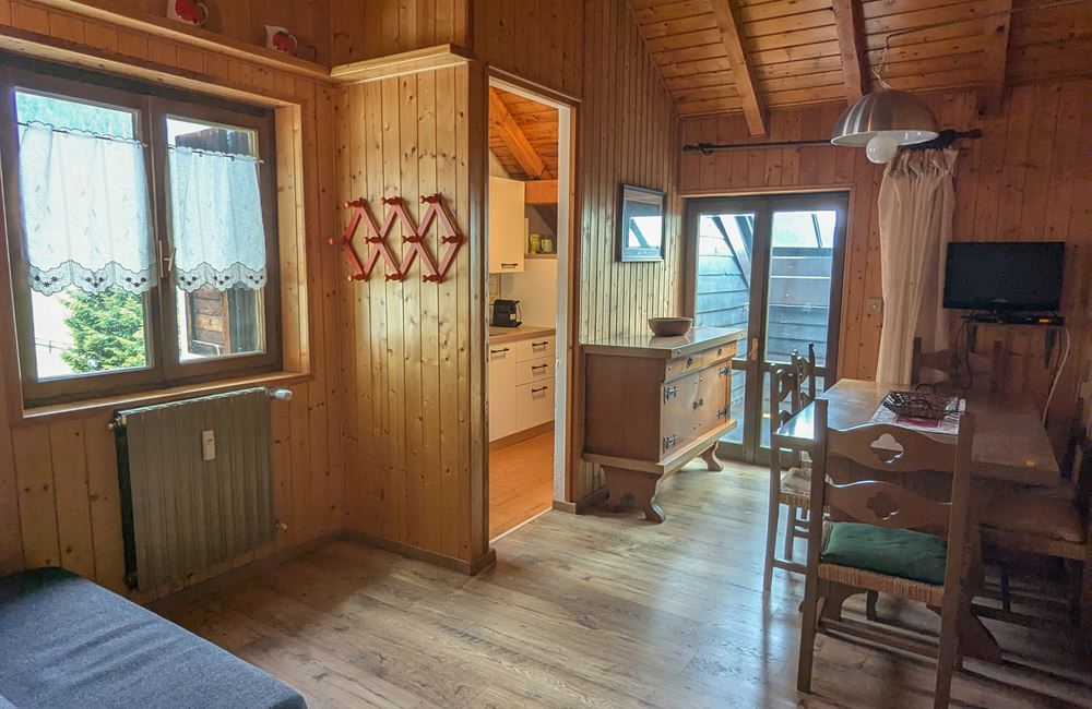 BILOCALE CON BALCONE E CANTINA A TREMALZO